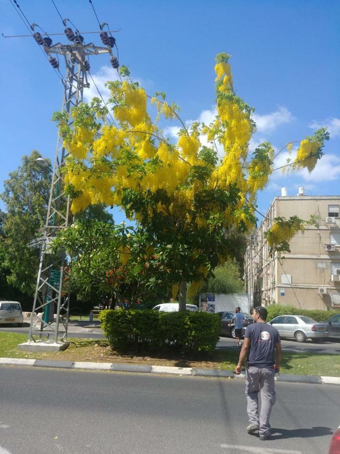 Apartment For Relaxing And For Health Haifa Esterno foto
